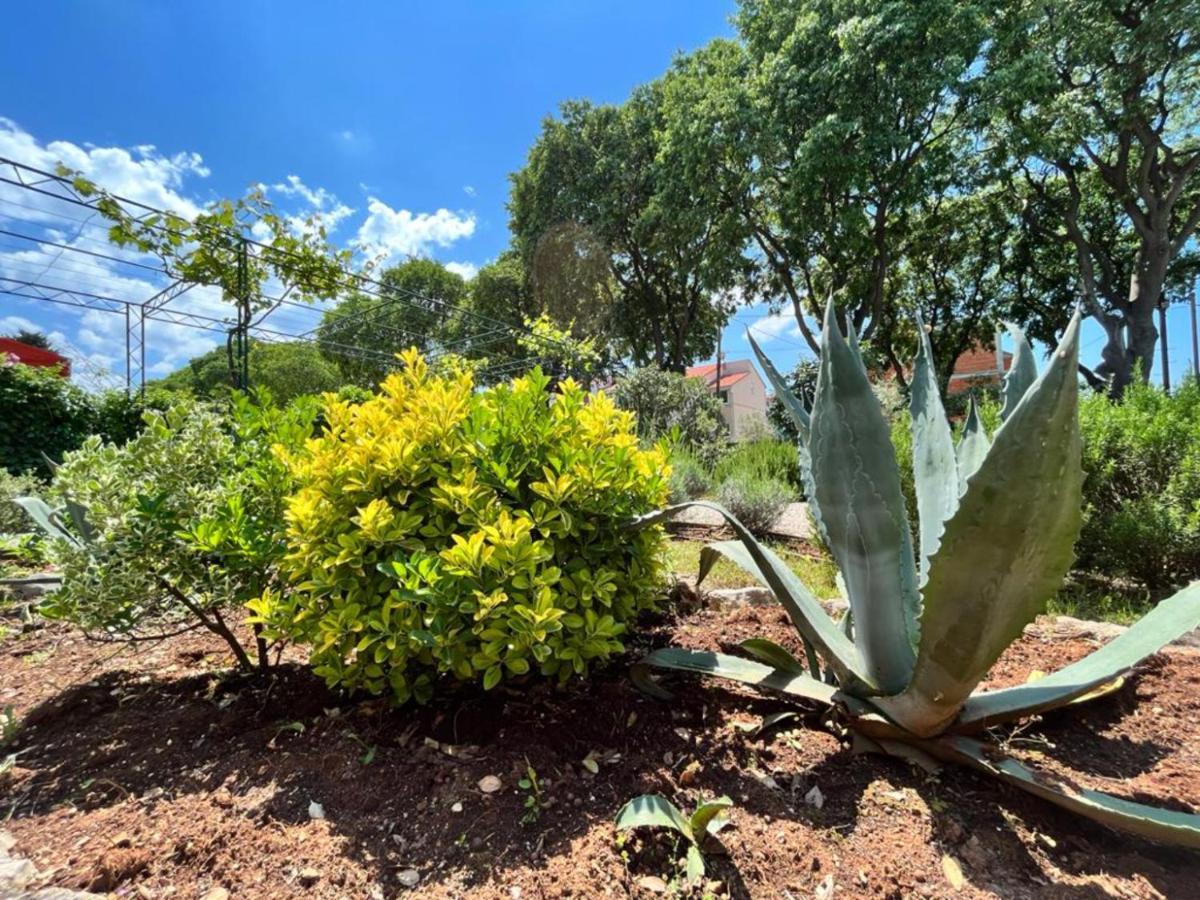 Lemon Tree Apartments Ζαντάρ Εξωτερικό φωτογραφία