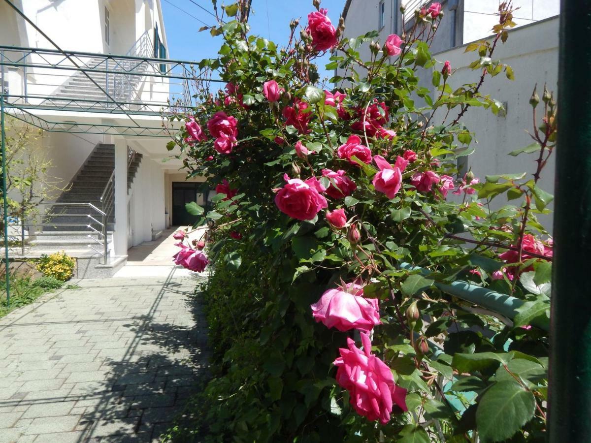 Lemon Tree Apartments Ζαντάρ Εξωτερικό φωτογραφία
